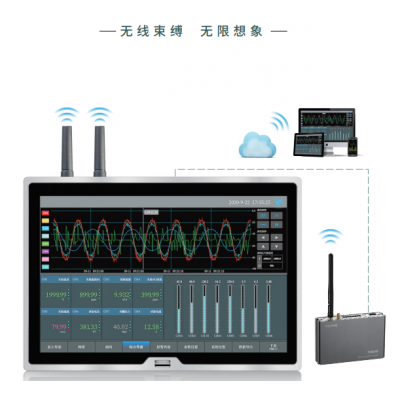TP1100 無線數據記錄儀
